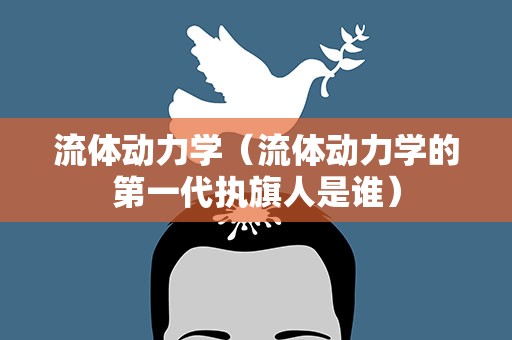 流体动力学（流体动力学的第一代执旗人是谁）