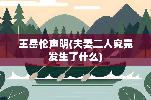 王岳伦声明(夫妻二人究竟发生了什么)