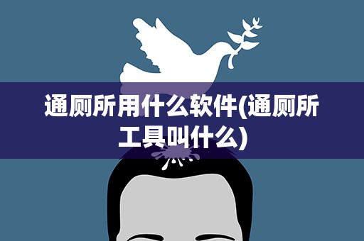 通厕所用什么软件(通厕所工具叫什么)