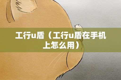 工行u盾（工行u盾在手机上怎么用）