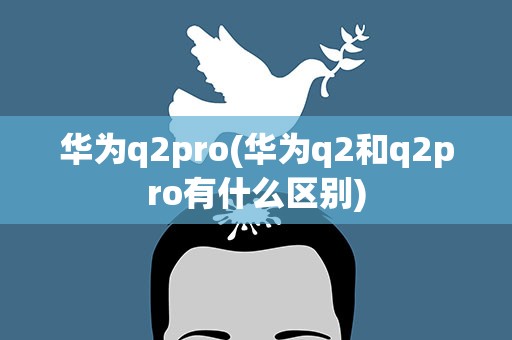 华为q2pro(华为q2和q2pro有什么区别)
