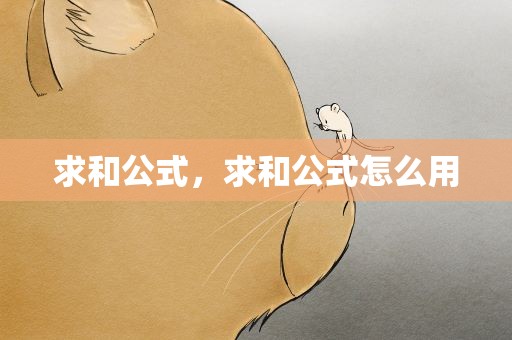 求和公式，求和公式怎么用