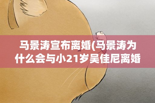 马景涛宣布离婚(马景涛为什么会与小21岁吴佳尼离婚)