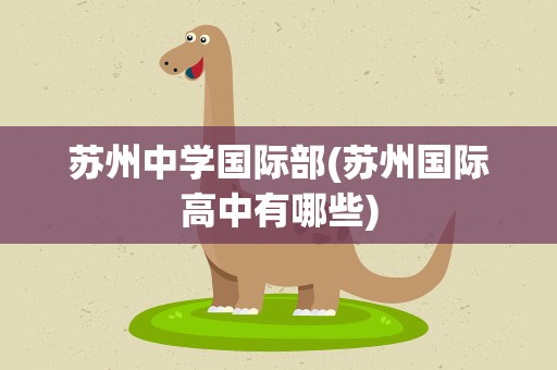 苏州中学国际部(苏州国际高中有哪些)