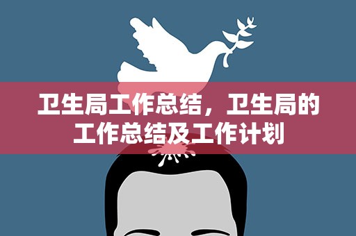 卫生局工作总结，卫生局的工作总结及工作计划