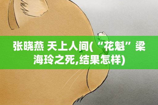 张晓燕 天上人间(“花魁”梁海玲之死,结果怎样)