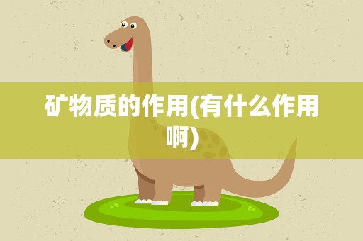 矿物质的作用(有什么作用啊)