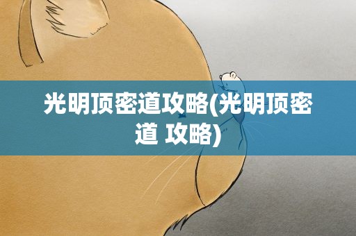 光明顶密道攻略(光明顶密道 攻略)