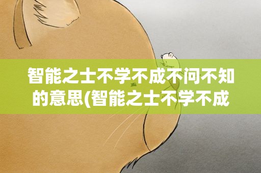智能之士不学不成不问不知的意思(智能之士不学不成不问不知的意思译文)
