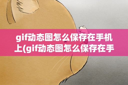 gif动态图怎么保存在手机上(gif动态图怎么保存在手机上面)