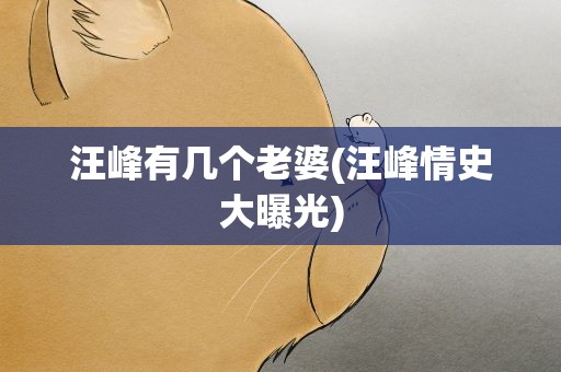 汪峰有几个老婆(汪峰情史大曝光)