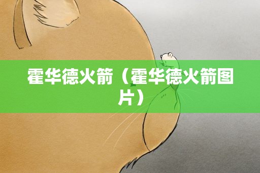 霍华德火箭（霍华德火箭图片）