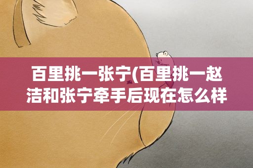 百里挑一张宁(百里挑一赵洁和张宁牵手后现在怎么样了)