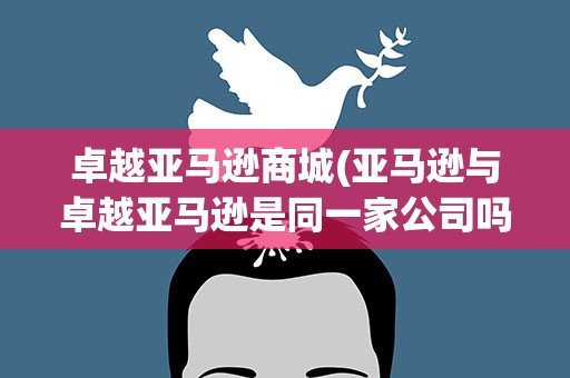 卓越亚马逊商城(亚马逊与卓越亚马逊是同一家公司吗)