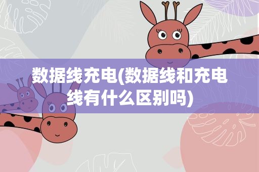 数据线充电(数据线和充电线有什么区别吗)