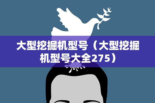 大型挖掘机型号（大型挖掘机型号大全275）