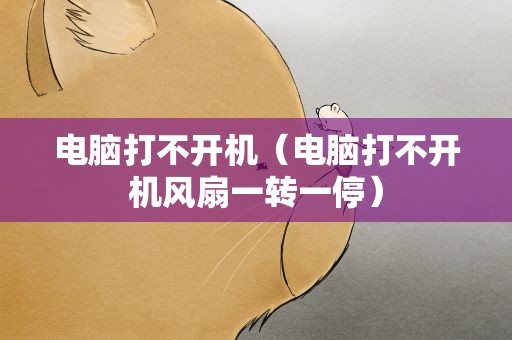 电脑打不开机（电脑打不开机风扇一转一停）