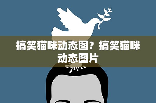 搞笑猫咪动态图？搞笑猫咪动态图片