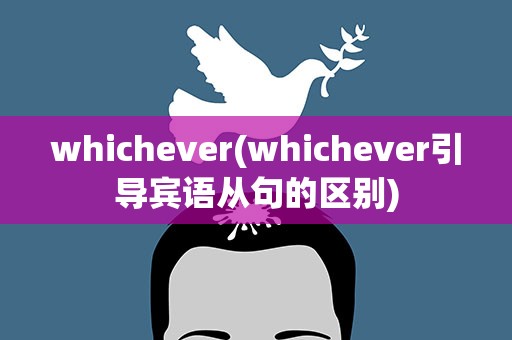 whichever(whichever引导宾语从句的区别)