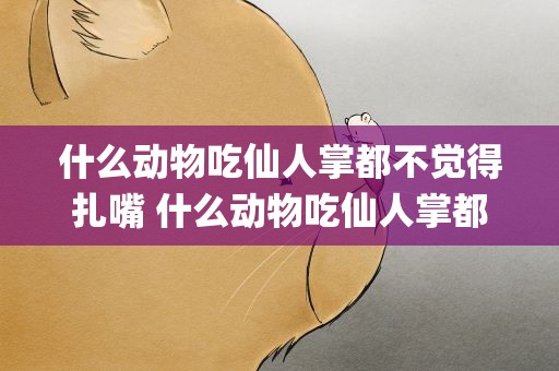 什么动物吃仙人掌都不觉得扎嘴 什么动物吃仙人掌都不觉得扎嘴 骆驼(6月3日蚂蚁庄园问题答案)