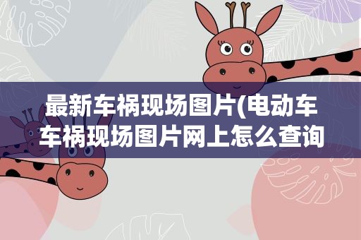 最新车祸现场图片(电动车车祸现场图片网上怎么查询)