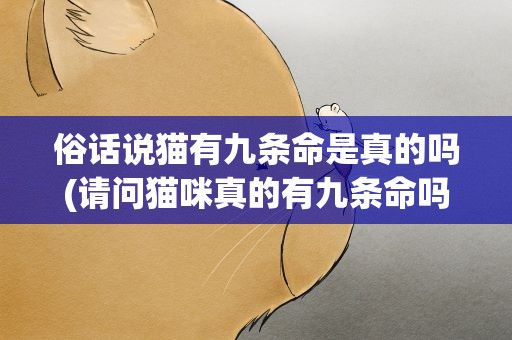 俗话说猫有九条命是真的吗(请问猫咪真的有九条命吗)