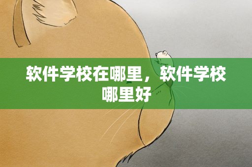 软件学校在哪里，软件学校哪里好