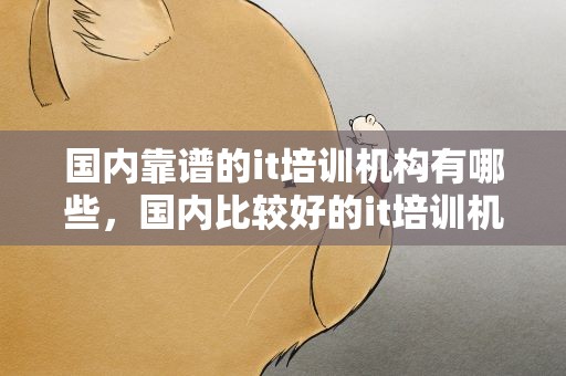 国内靠谱的it培训机构有哪些，国内比较好的it培训机构