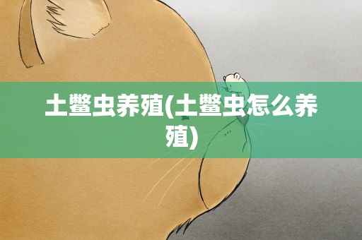 土鳖虫养殖(土鳖虫怎么养殖)