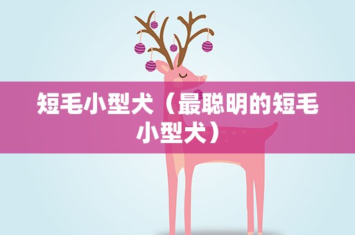 短毛小型犬（最聪明的短毛小型犬）