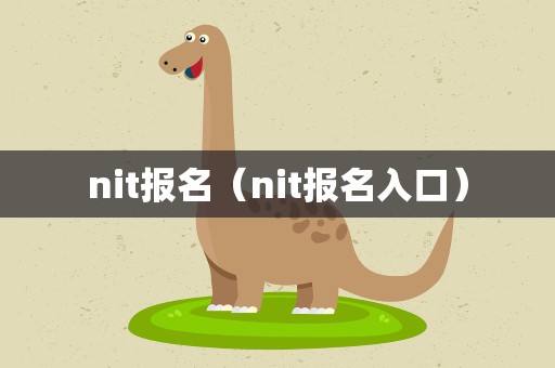 nit报名（nit报名入口）
