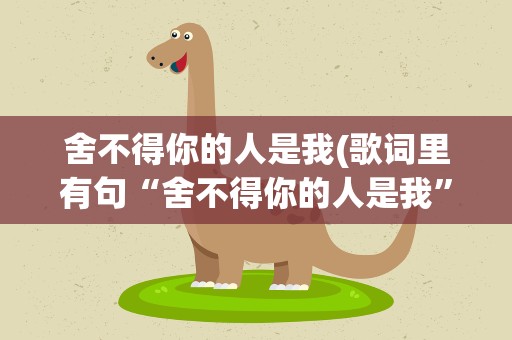 舍不得你的人是我(歌词里有句“舍不得你的人是我”是什么歌曲啊)