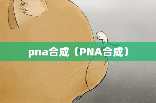 pna合成（PNA合成）