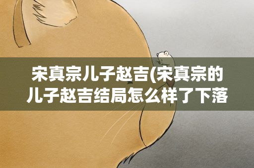 宋真宗儿子赵吉(宋真宗的儿子赵吉结局怎么样了下落如何)