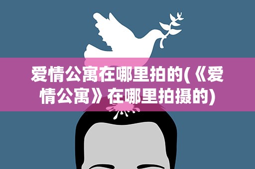 爱情公寓在哪里拍的(《爱情公寓》在哪里拍摄的)