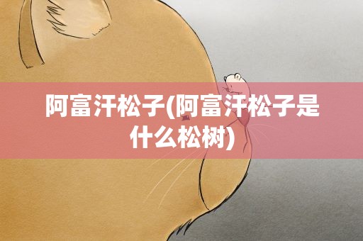 阿富汗松子(阿富汗松子是什么松树)