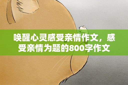 唤醒心灵感受亲情作文，感受亲情为题的800字作文