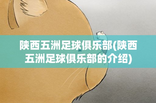 陕西五洲足球俱乐部(陕西五洲足球俱乐部的介绍)