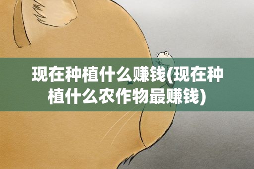现在种植什么赚钱(现在种植什么农作物最赚钱)
