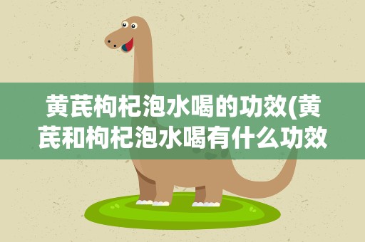 黄芪枸杞泡水喝的功效(黄芪和枸杞泡水喝有什么功效)