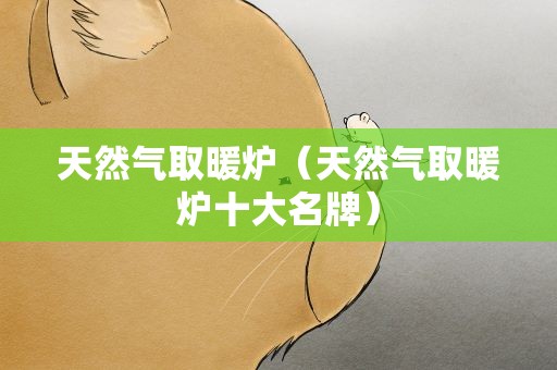 天然气取暖炉（天然气取暖炉十大名牌）