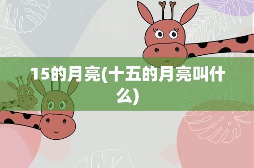 15的月亮(十五的月亮叫什么)