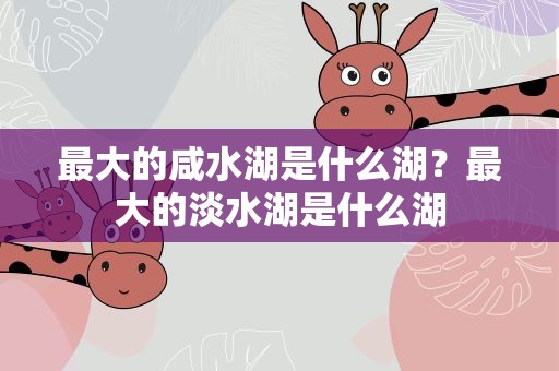 最大的咸水湖是什么湖？最大的淡水湖是什么湖
