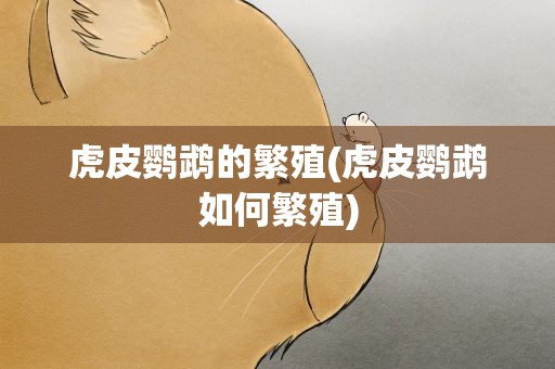 虎皮鹦鹉的繁殖(虎皮鹦鹉如何繁殖)