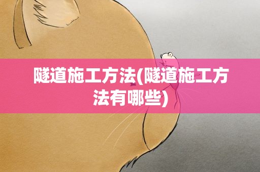隧道施工方法(隧道施工方法有哪些)