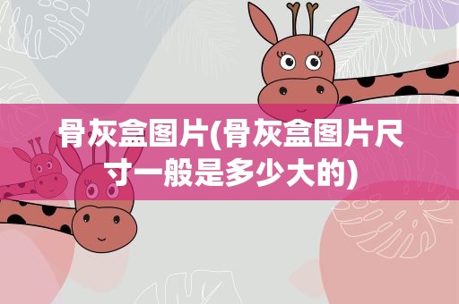 骨灰盒图片(骨灰盒图片尺寸一般是多少大的)