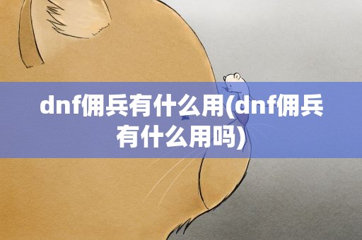 dnf佣兵有什么用(dnf佣兵有什么用吗)