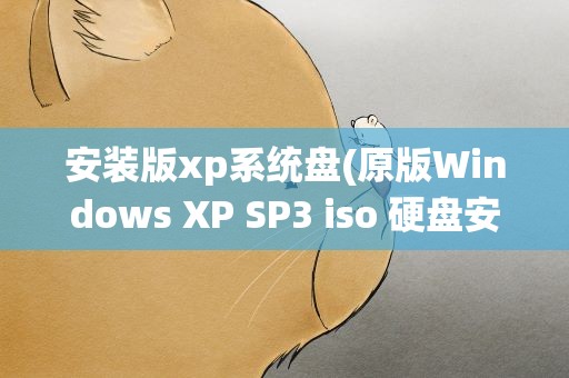 安装版xp系统盘(原版Windows XP SP3 iso 硬盘安装系统)