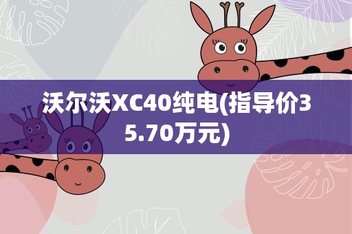 沃尔沃XC40纯电(指导价35.70万元)