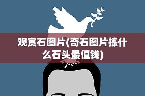 观赏石图片(奇石图片拣什么石头最值钱)
